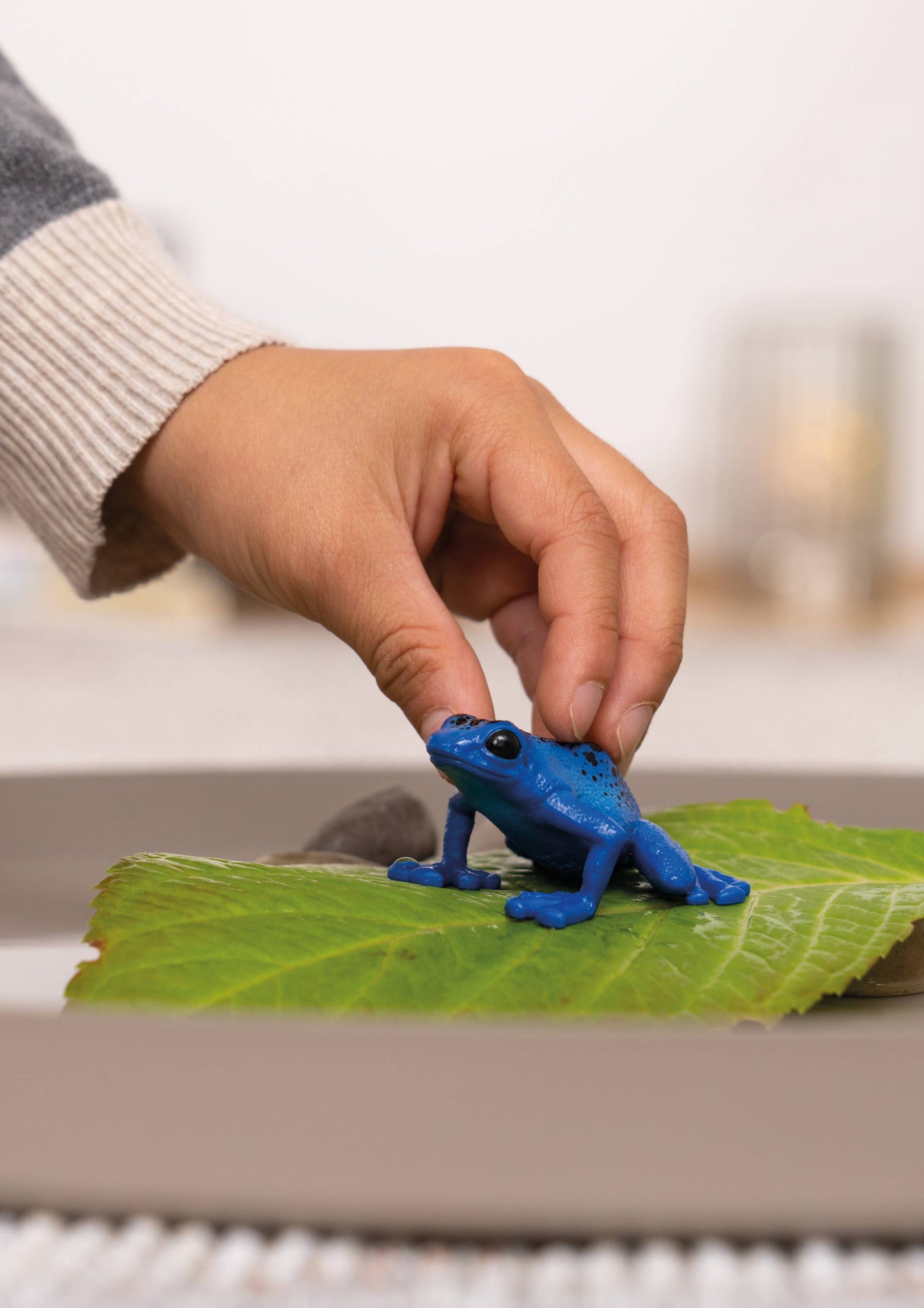 Blue Poison Dart Frog Animal Toy