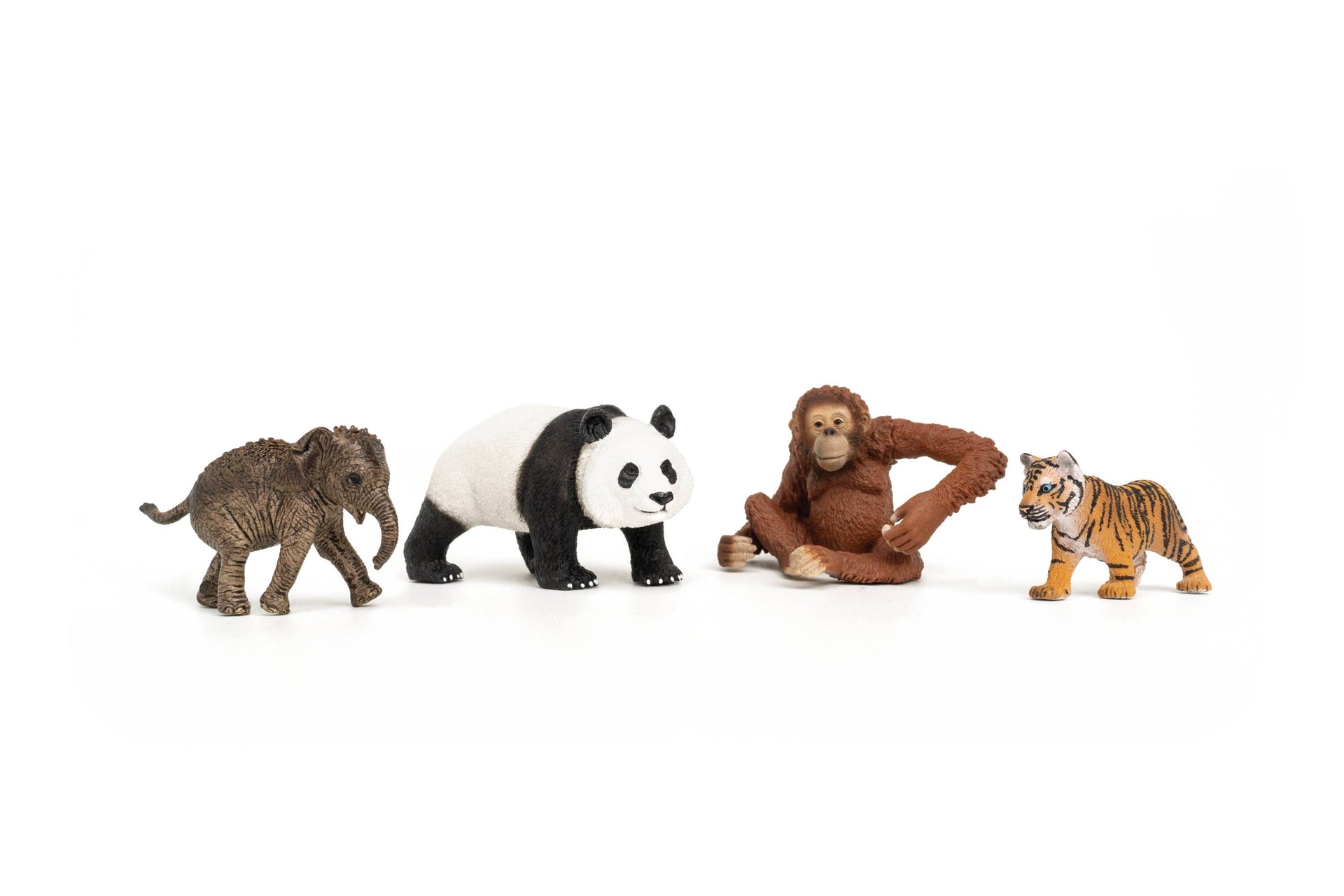 Wild Life Asia Starter Set