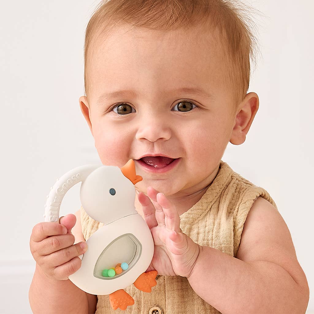 Bitzy Shake™ - Silicone Teether with Rattle: Cherries