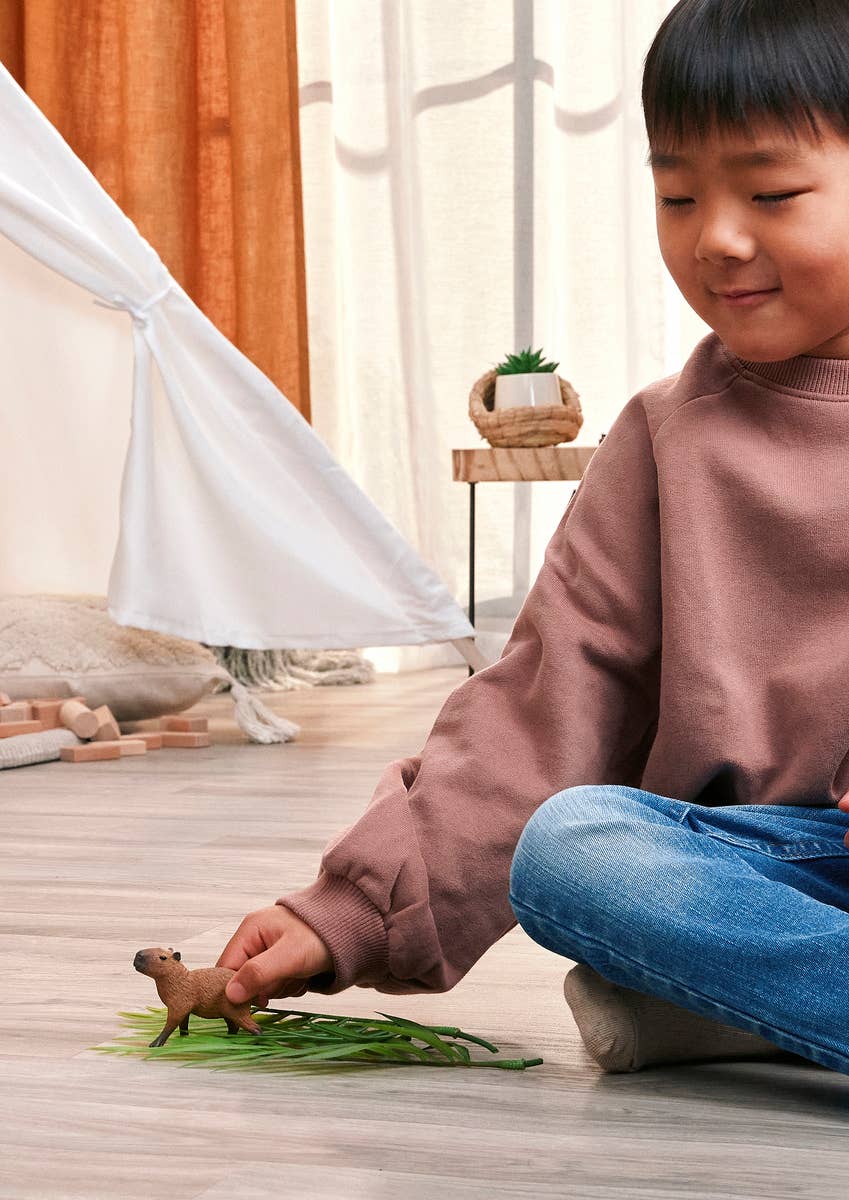 Capybara Animal Toy Figurine