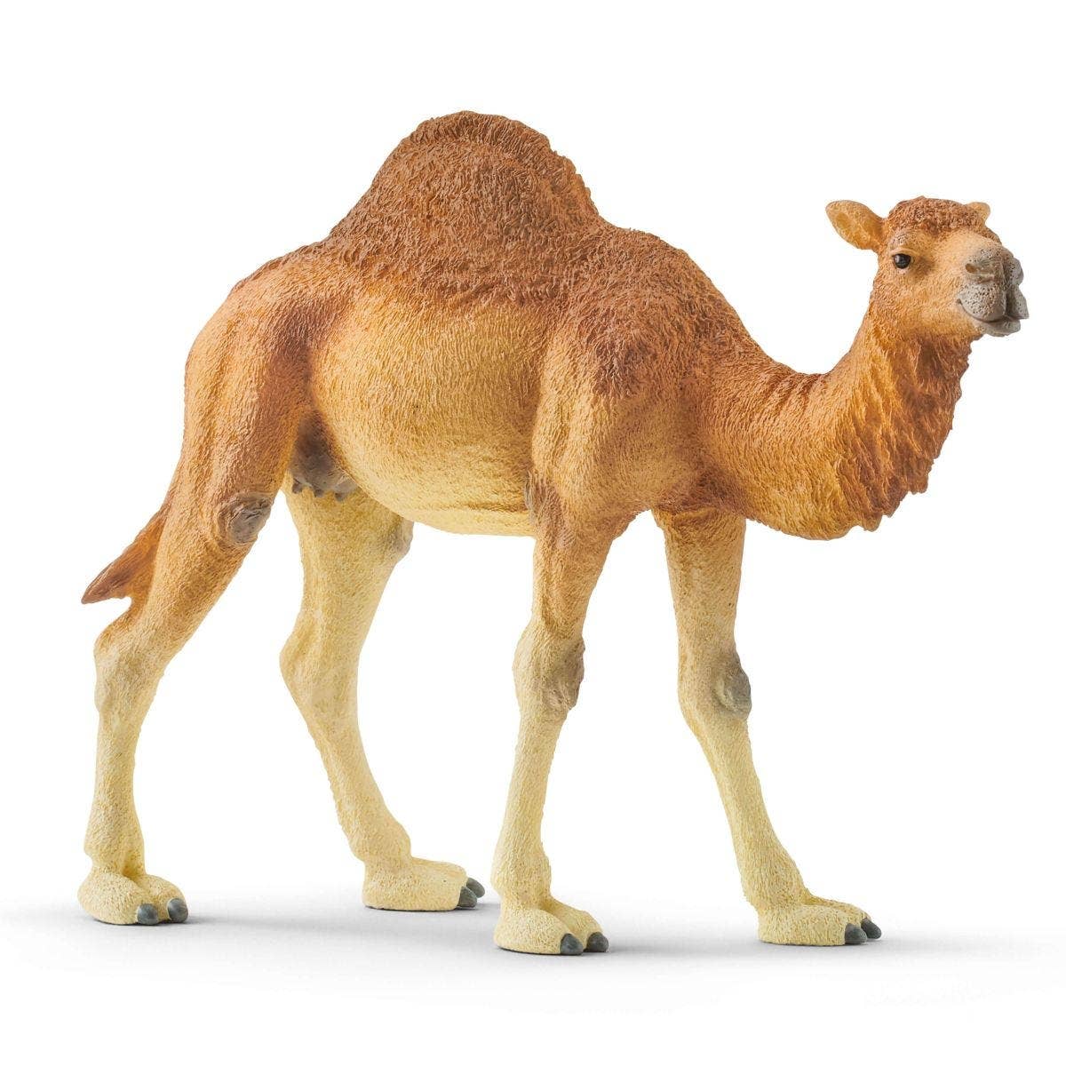 Dromedary Animal Toy