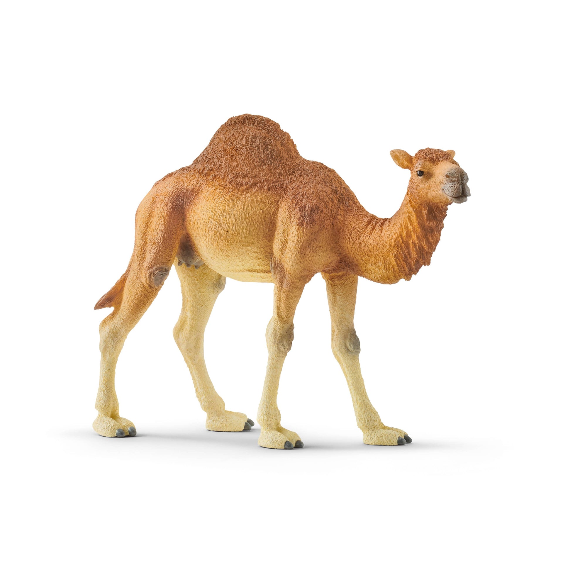 Dromedary Animal Toy