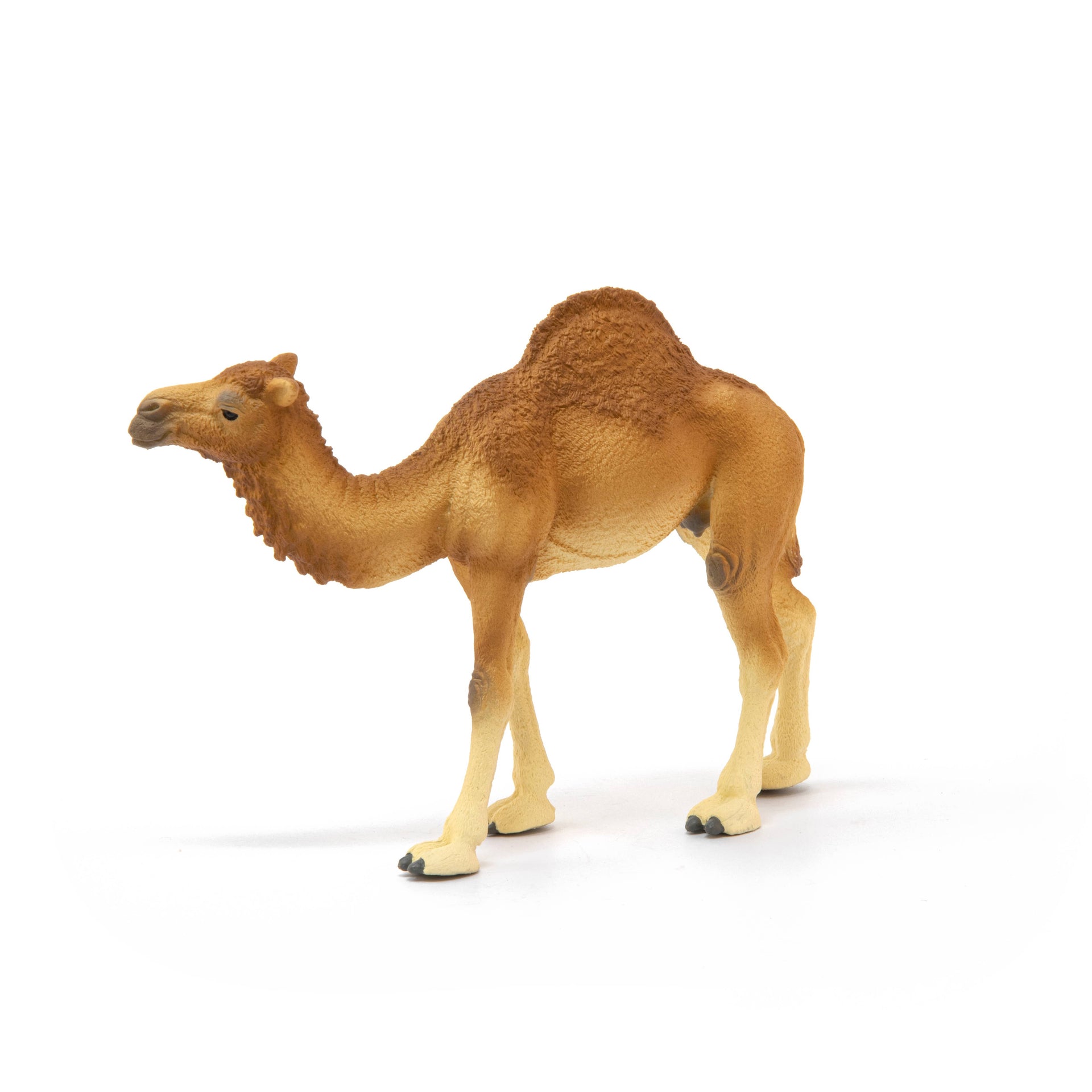 Dromedary Animal Toy