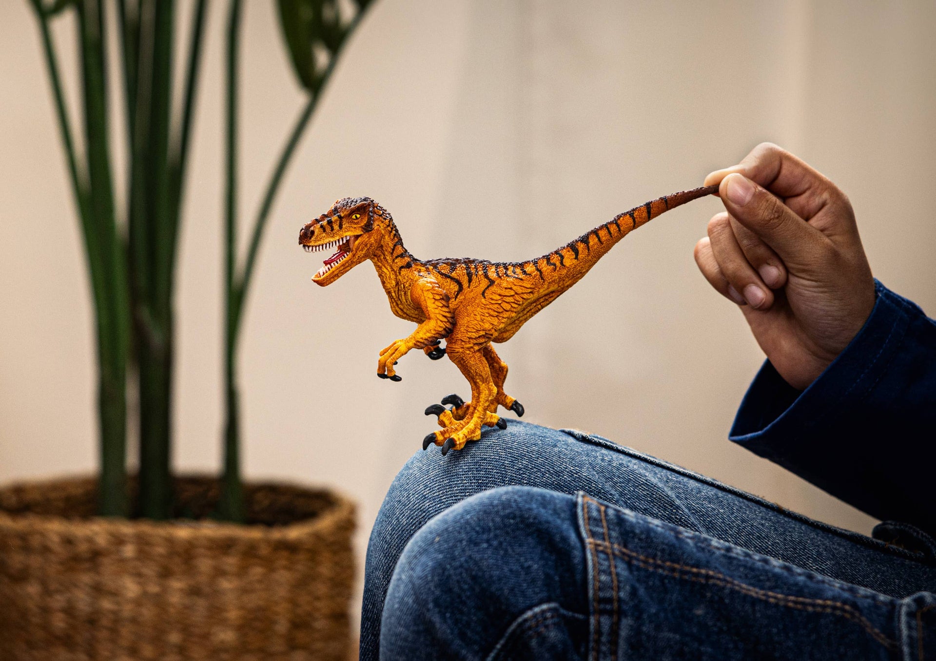 Velociraptor