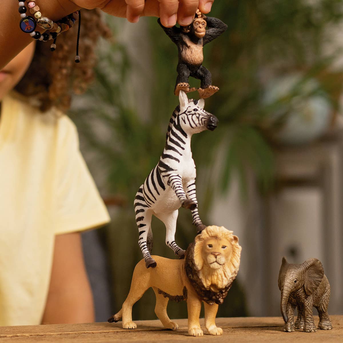 Wild Life Africa Starter Set