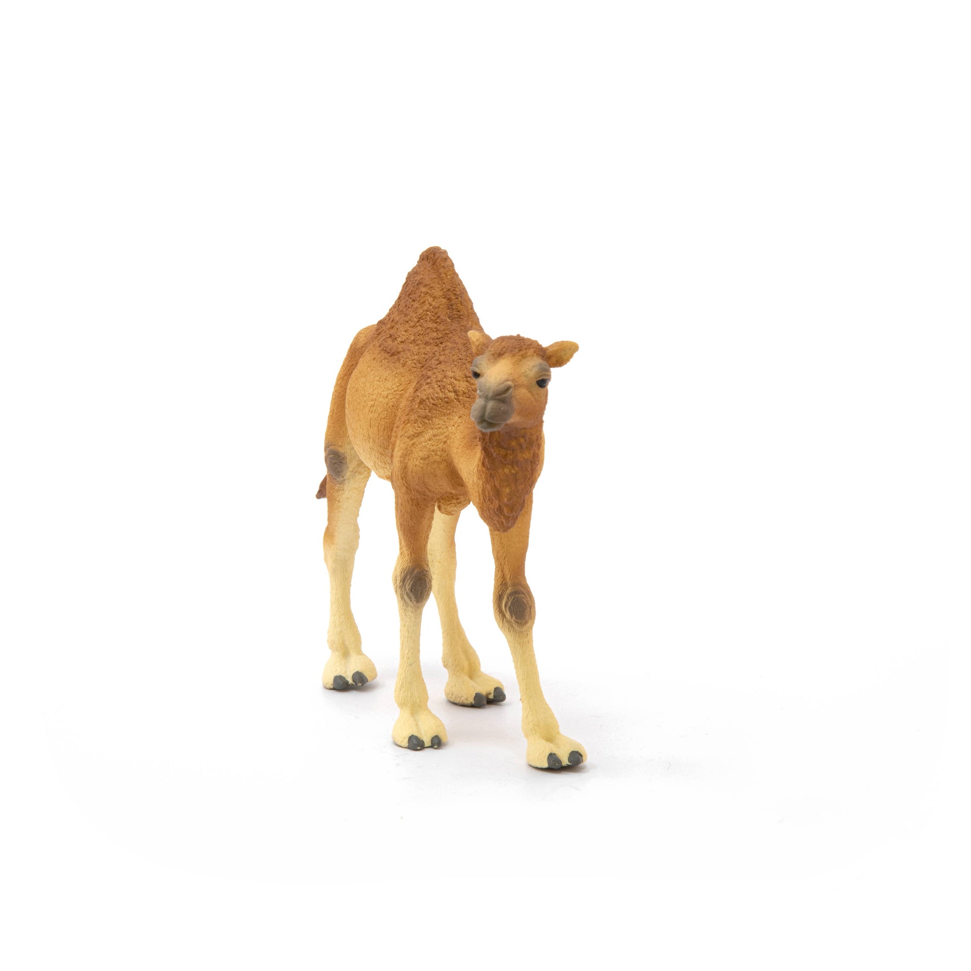 Dromedary Animal Toy