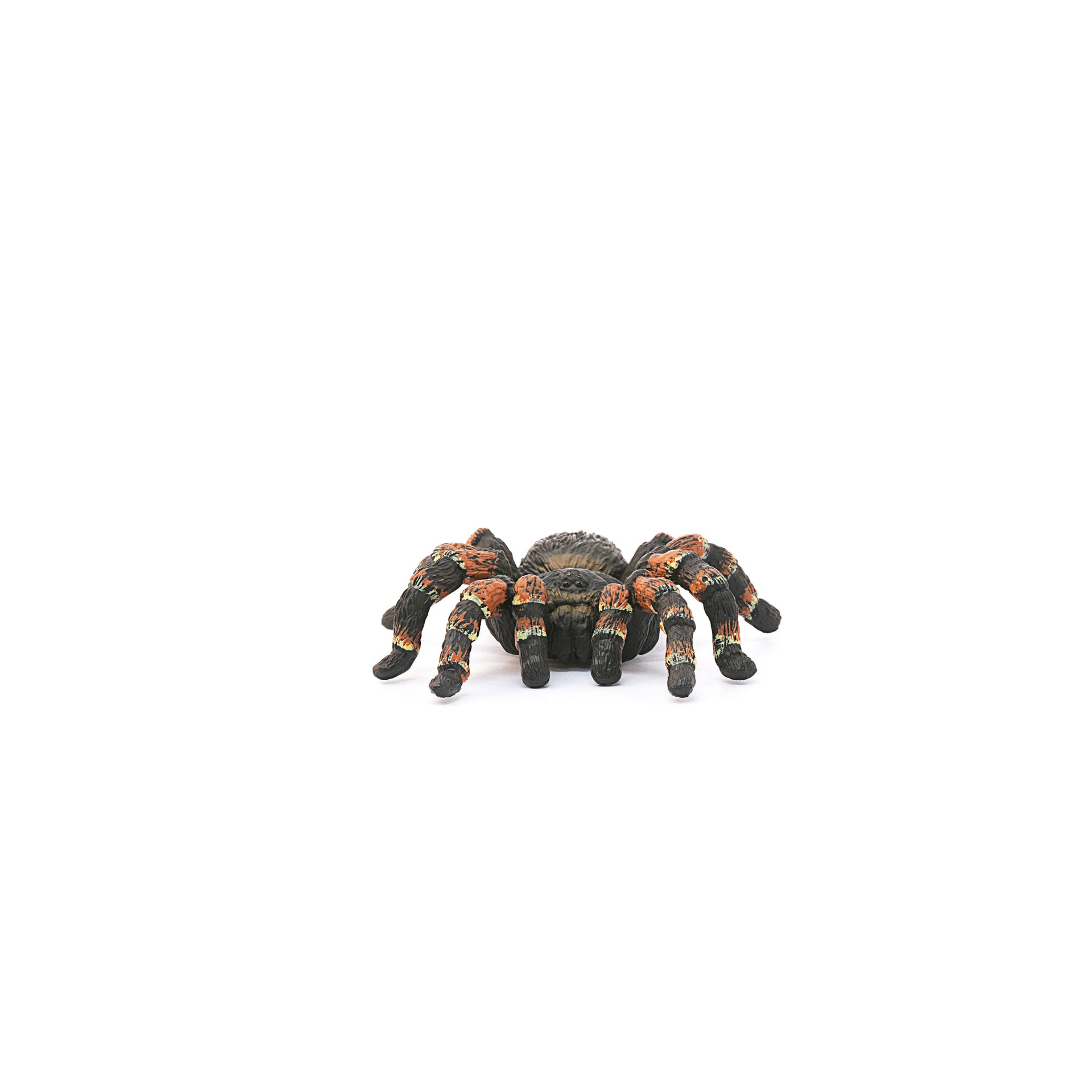 Tarantula Spider Animal Toy
