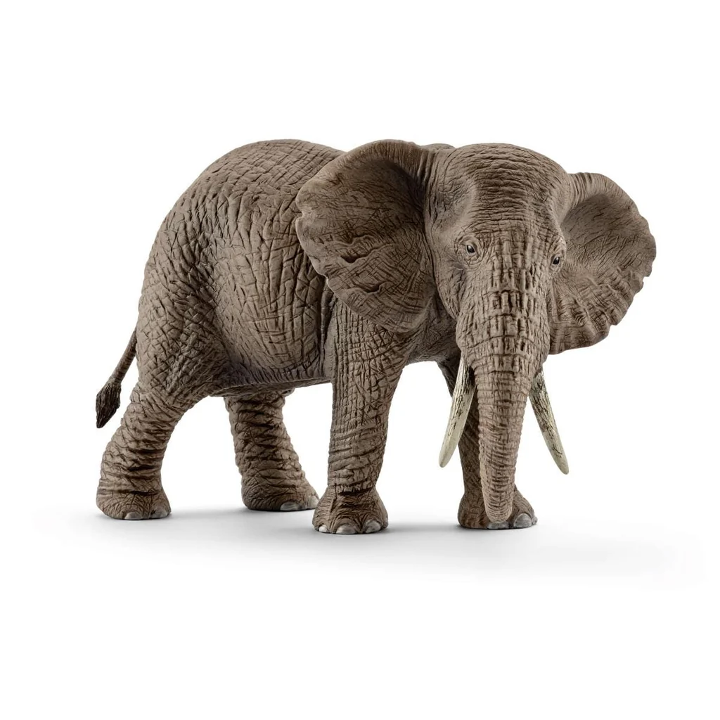 AFRICAN ELEPHANT FEMALE