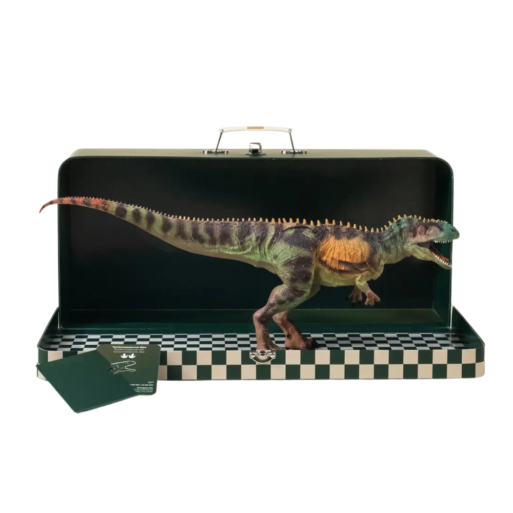 TYRANNOSAURUS REX DINOSAUR IN COLLECTIBLE BOX