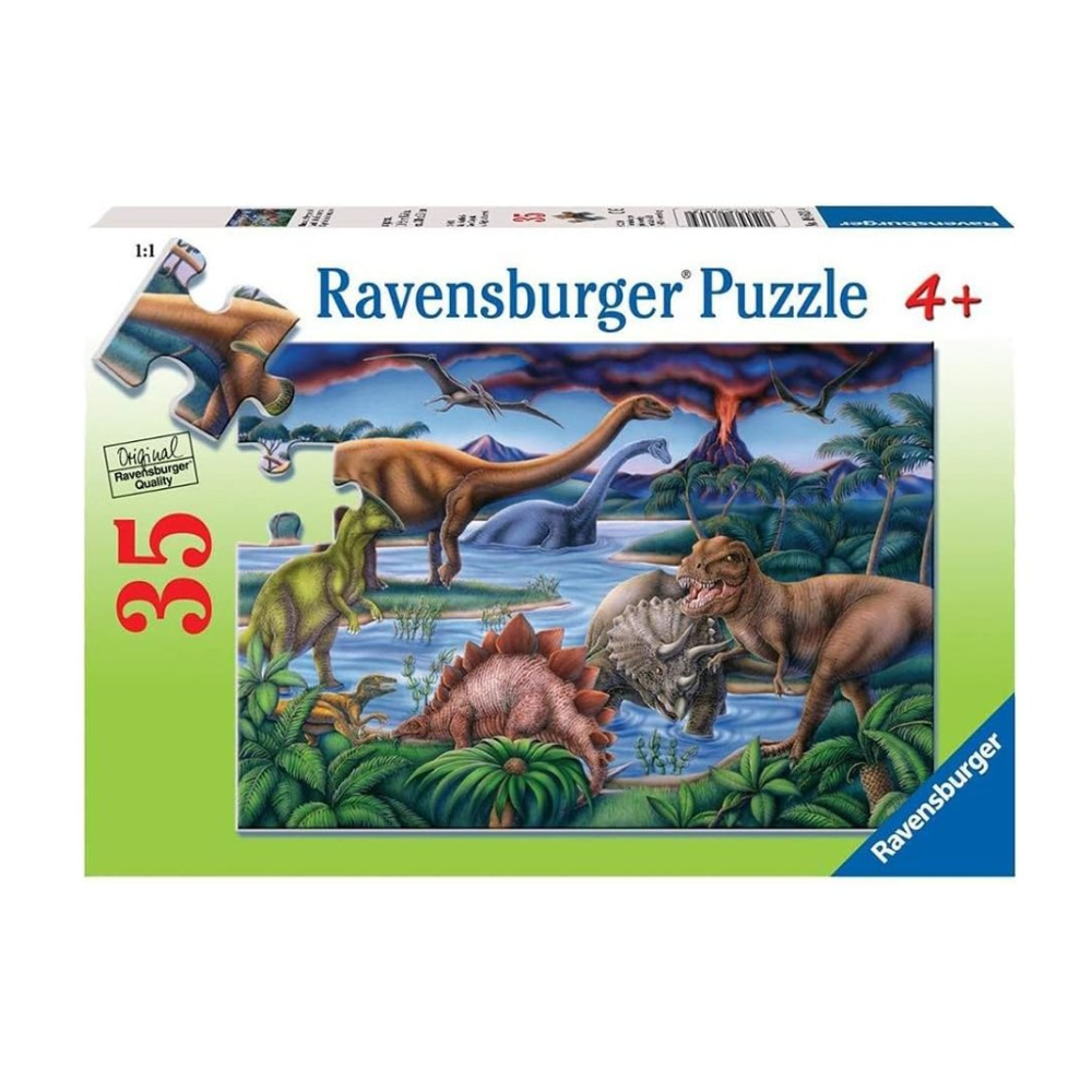35: DINOSAUR PLAYGROUND PUZZLE