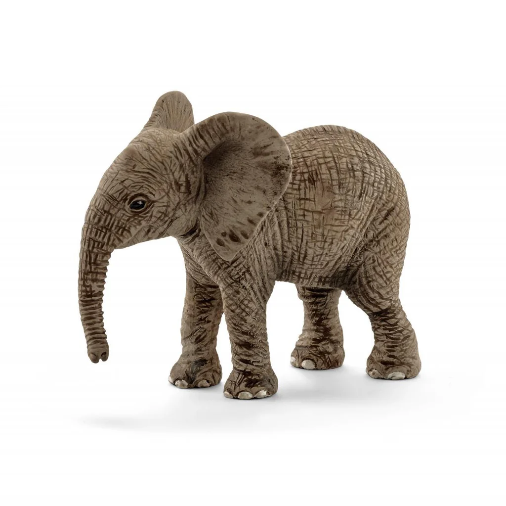 AFRICAN ELEPHANT CALF