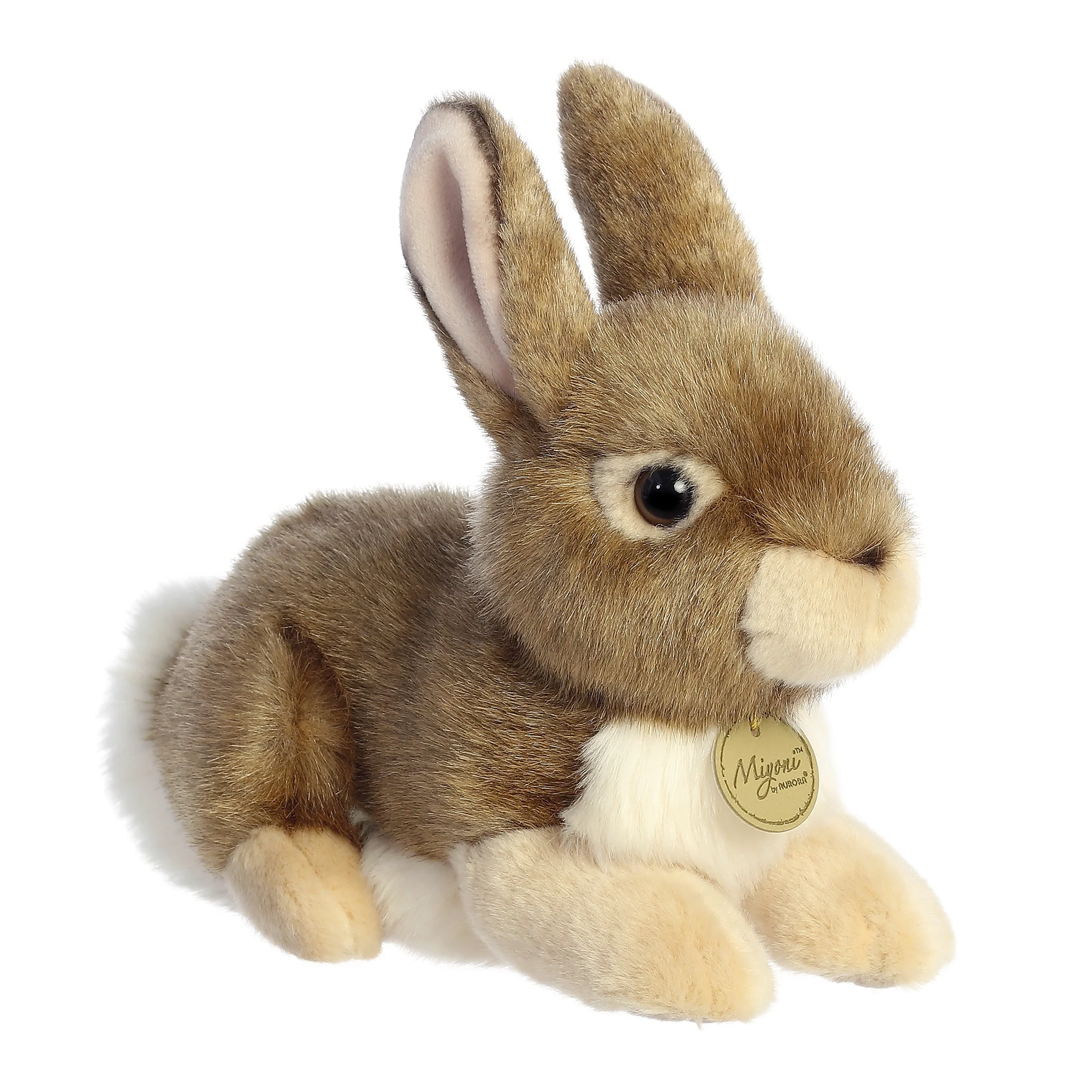 EASTERN COTTONTAIL RABBIT – Kidding Around NYC