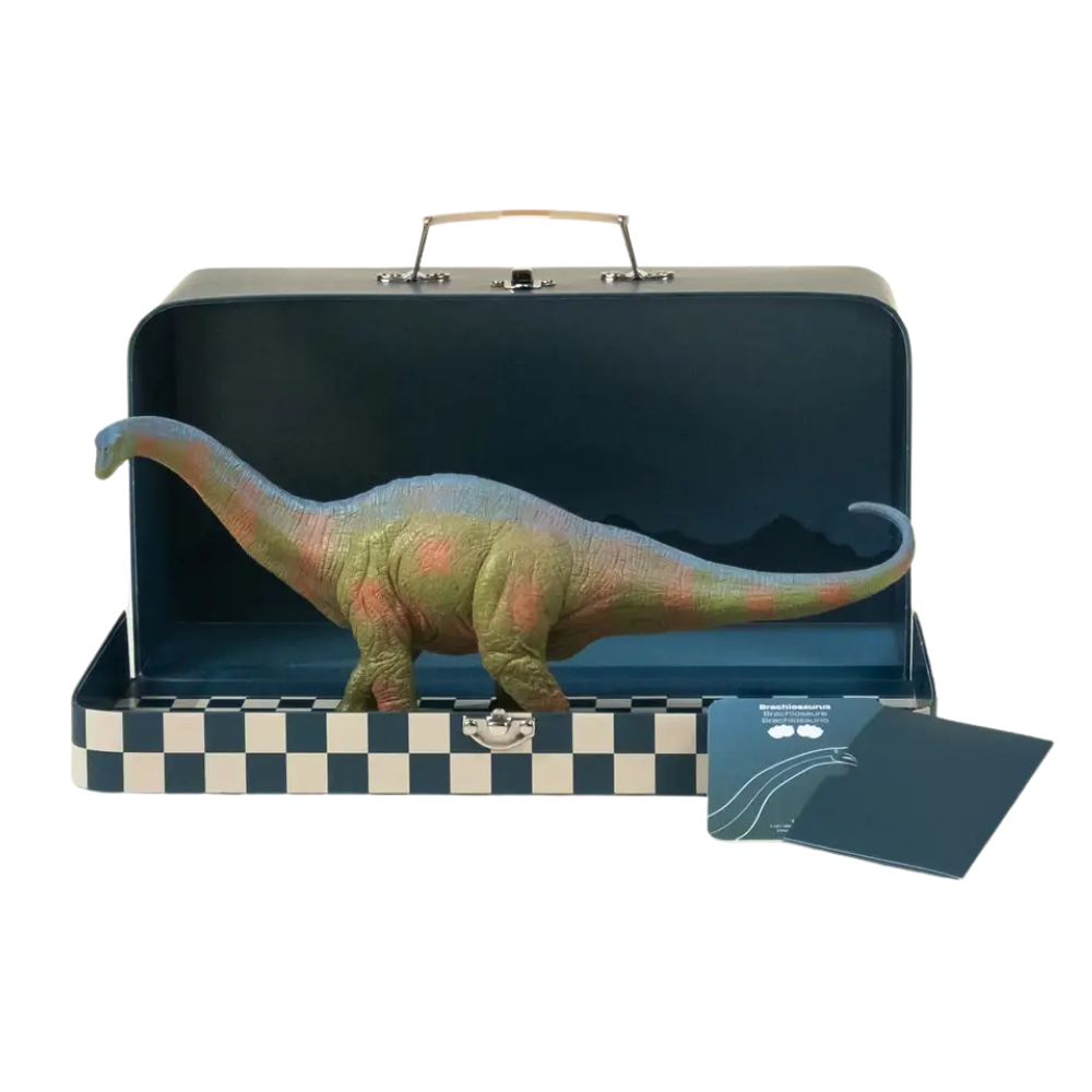 BRACHIOSAURUS DINOSAUR IN COLLECTIBLE BOX