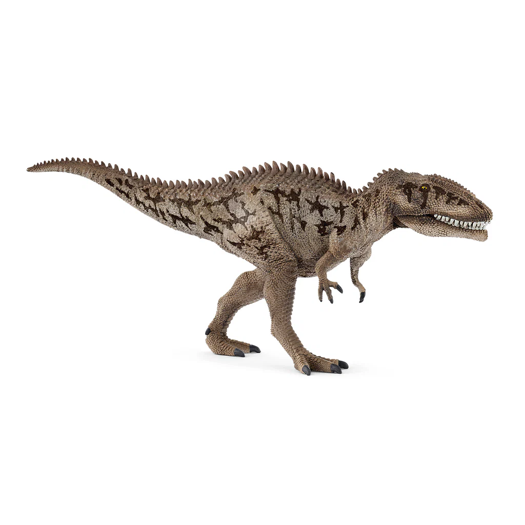 CARCHARODONTOSAURUS NEW 25