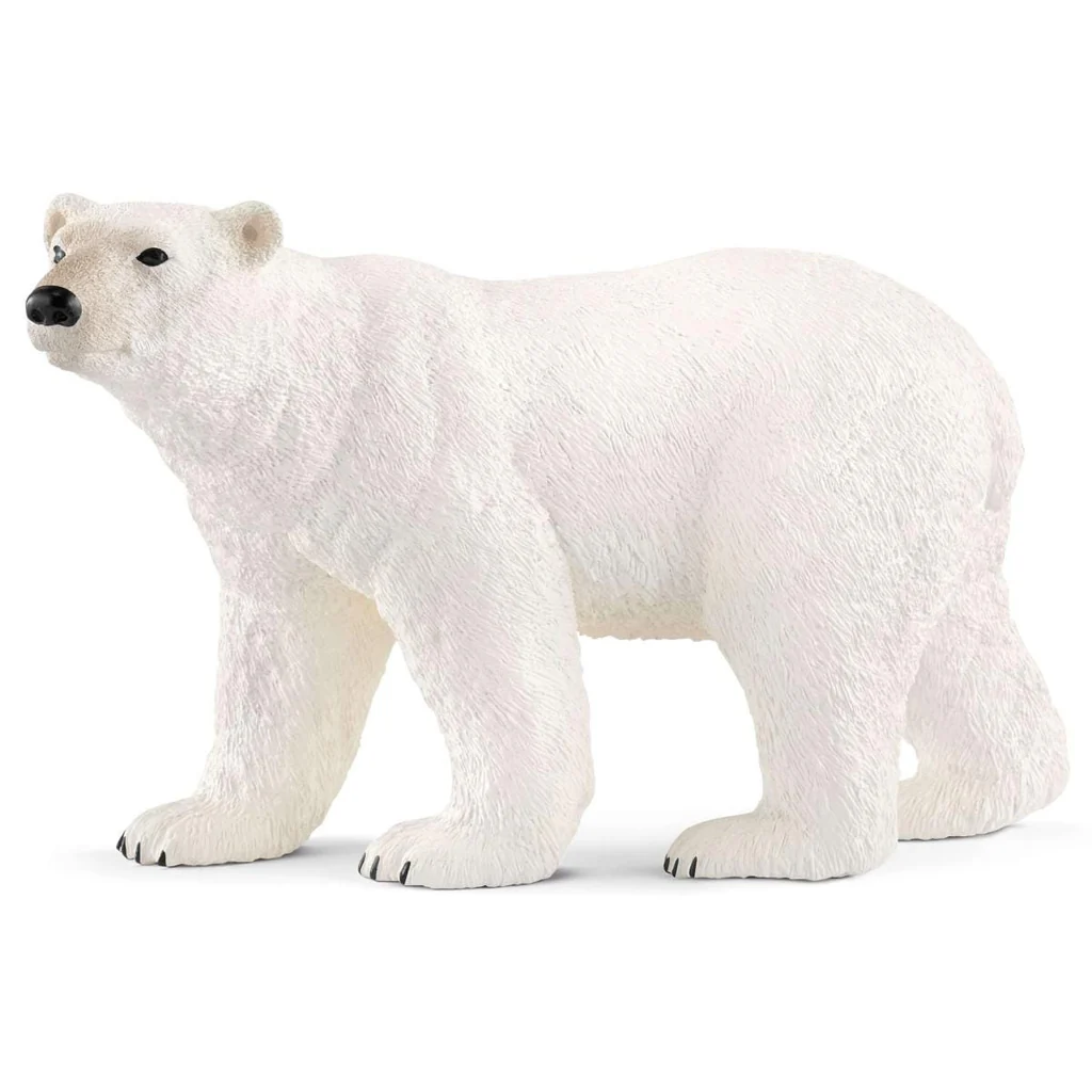 POLAR BEAR