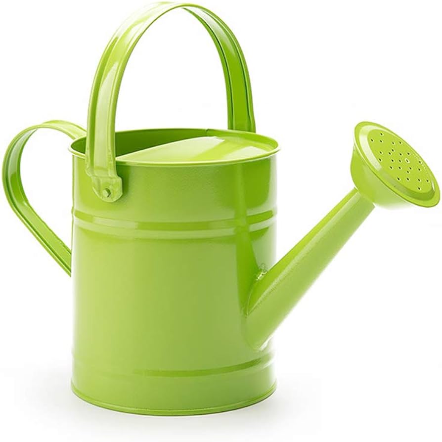 Metal Watering Can Assorted Colors
