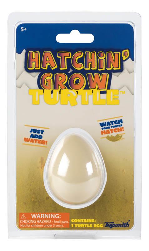 Hatchin Grow Turtle-Kidding Around NYC