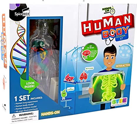 SPICE BOX HUMAN BODY