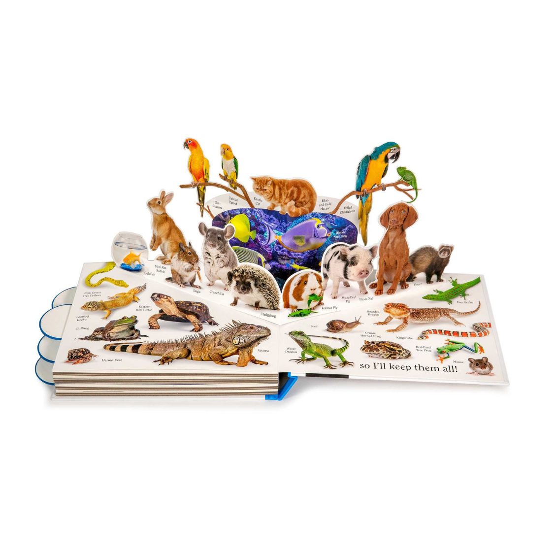 Pet Book Mathew Van Fleet Books