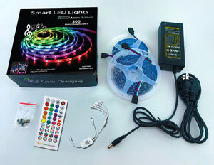 Smart LED Rainbow Lights 300 Color Changing LEDs