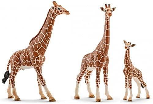 Giraffe Male-Kidding Around NYC