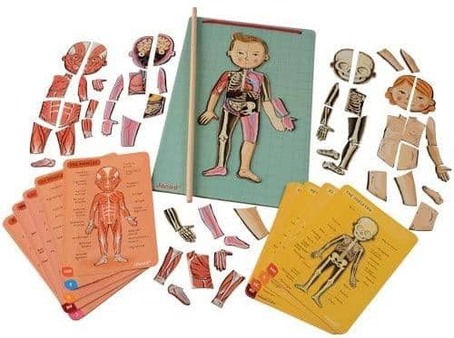 Janod Magnetic Dolls For Toddler, Wooden Anatomy Puzzle-Kidding Around NYC