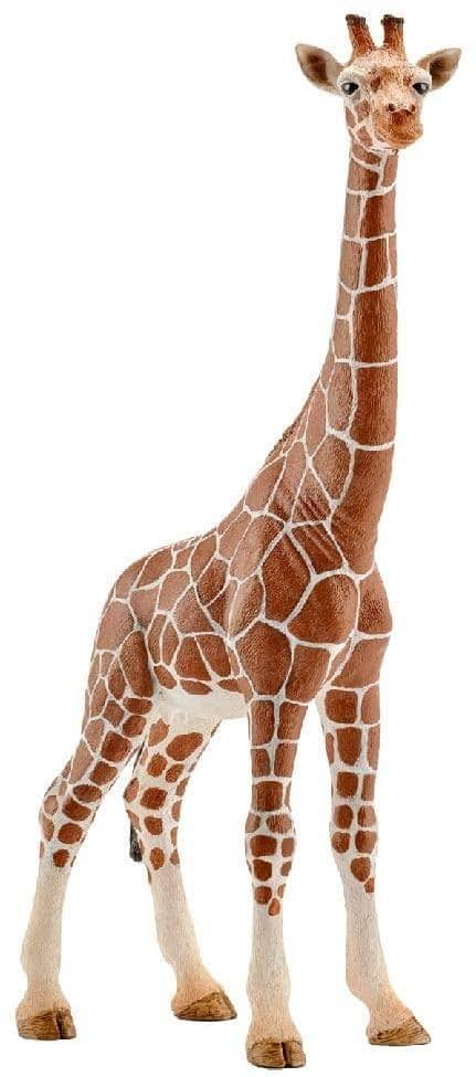 Giraffe Female-Kidding Around NYC