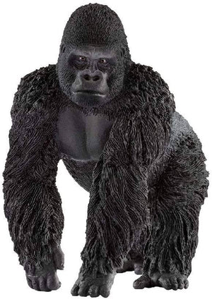 Gorilla Male-Kidding Around NYC