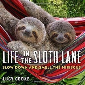 Life In The Sloth Lane (Paperback)-Kidding Around NYC