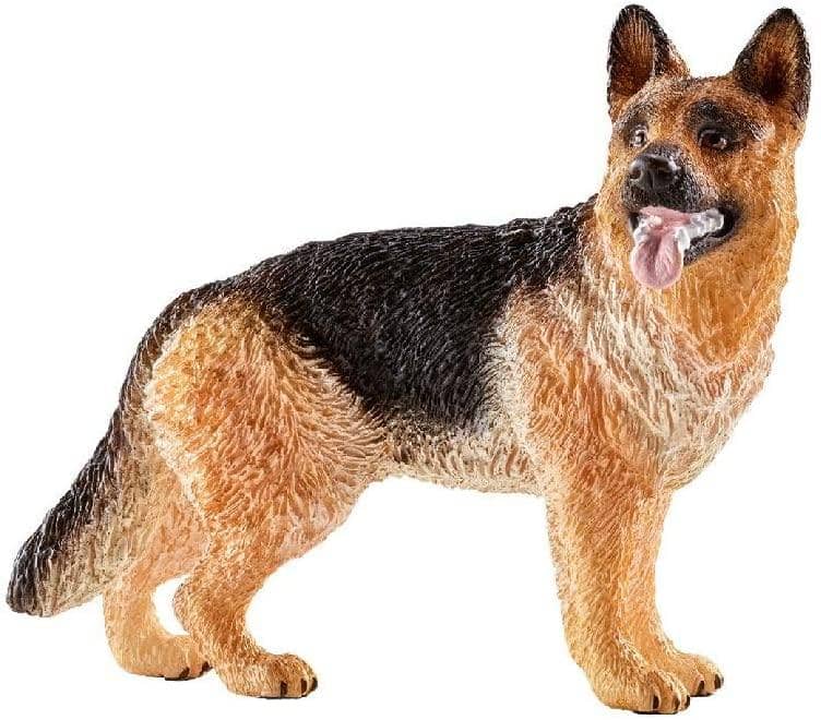 German Shepherd-Kidding Around NYC
