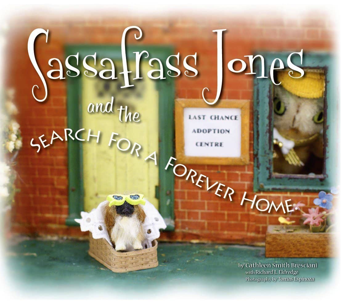 Sassafrass Jones And The Search For A Forever Home (Hardcover)-Kidding Around NYC
