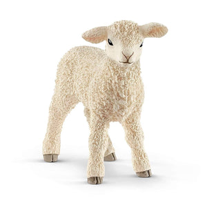 Lamb-Kidding Around NYC