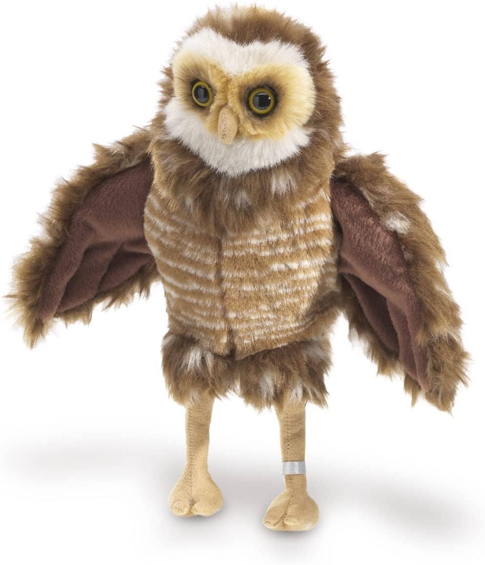 Burrowing Owl-Kidding Around NYC