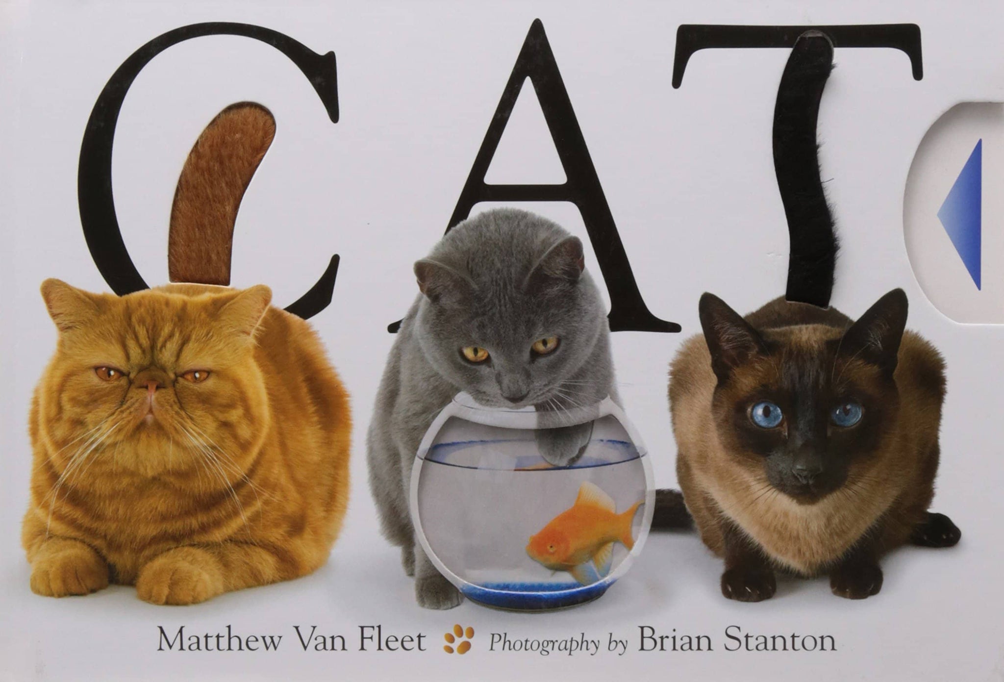 Cat Book (Board Book)-Kidding Around NYC