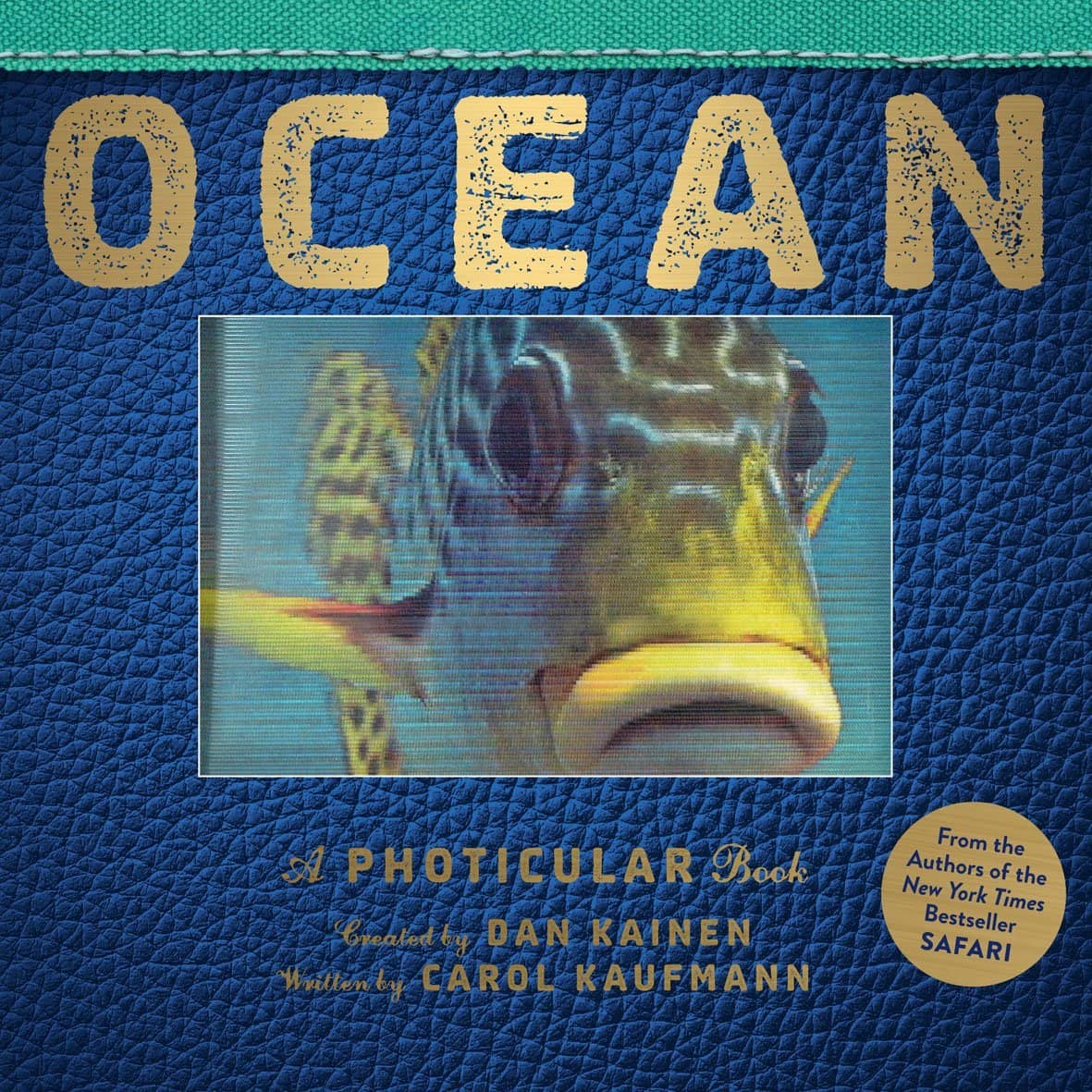 Ocean: A Photicular Book-Kidding Around NYC