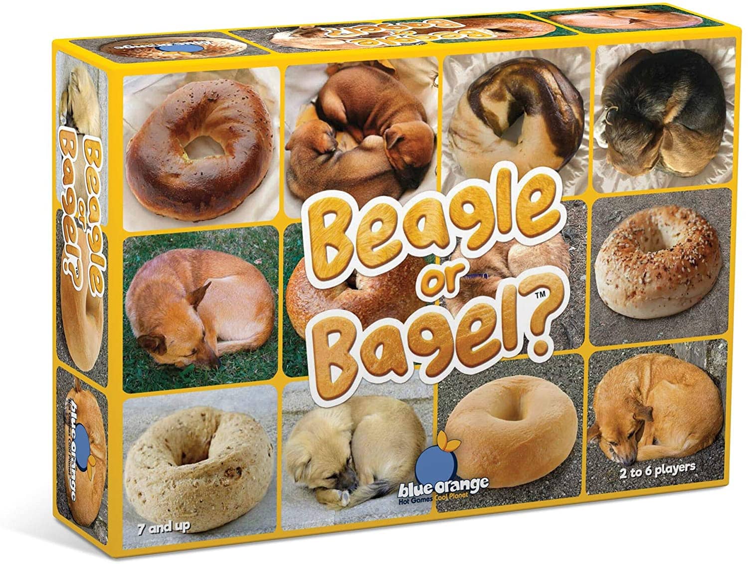 Beagle Or Bagel-Kidding Around NYC