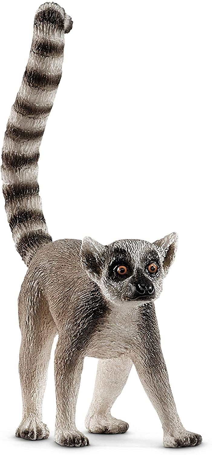 Ring Tail Lemur-Kidding Around NYC