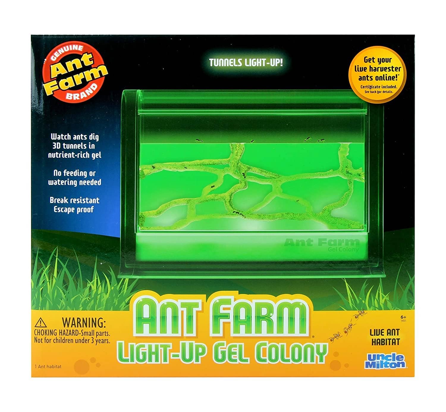 Ant-Farm Light-Up Gel Colony-Kidding Around NYC
