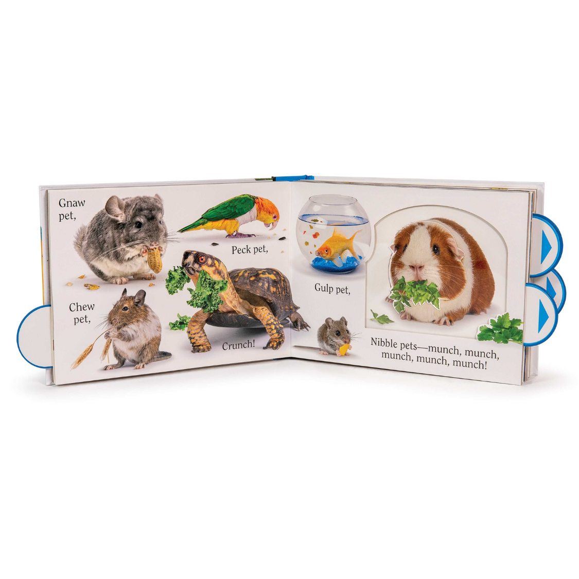 Pet Book Mathew Van Fleet Books