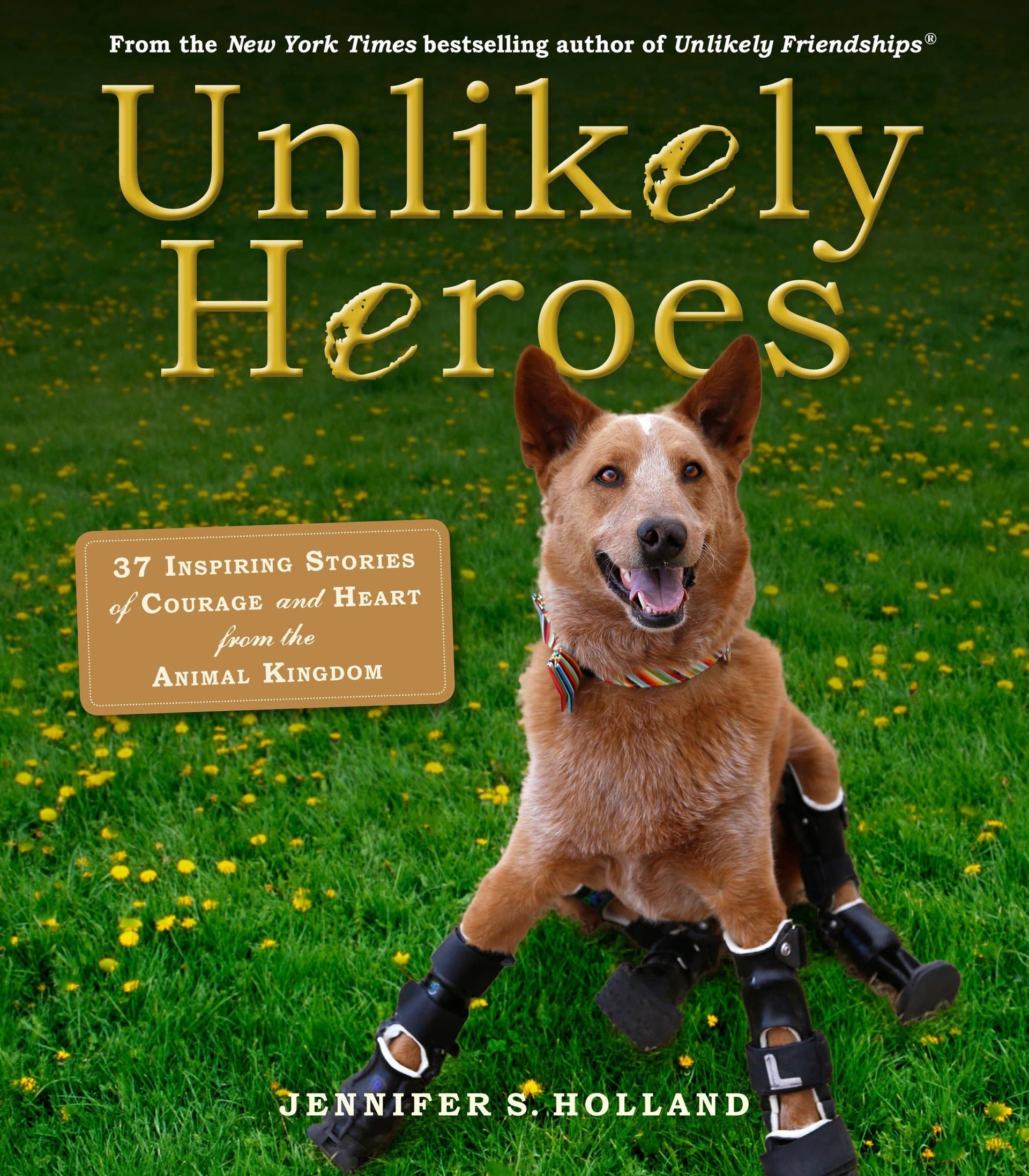Unlikely Heroes (Paperback)-Kidding Around NYC