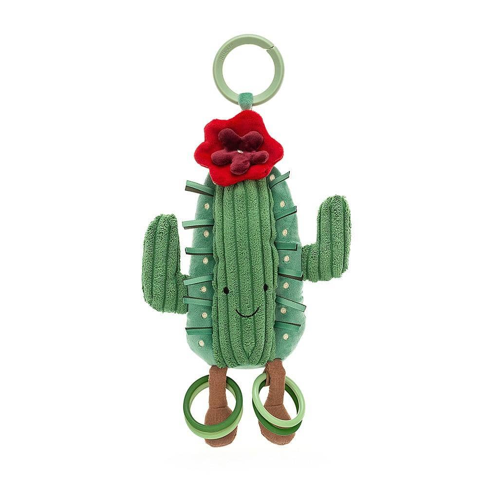 Cactus Activity Toy