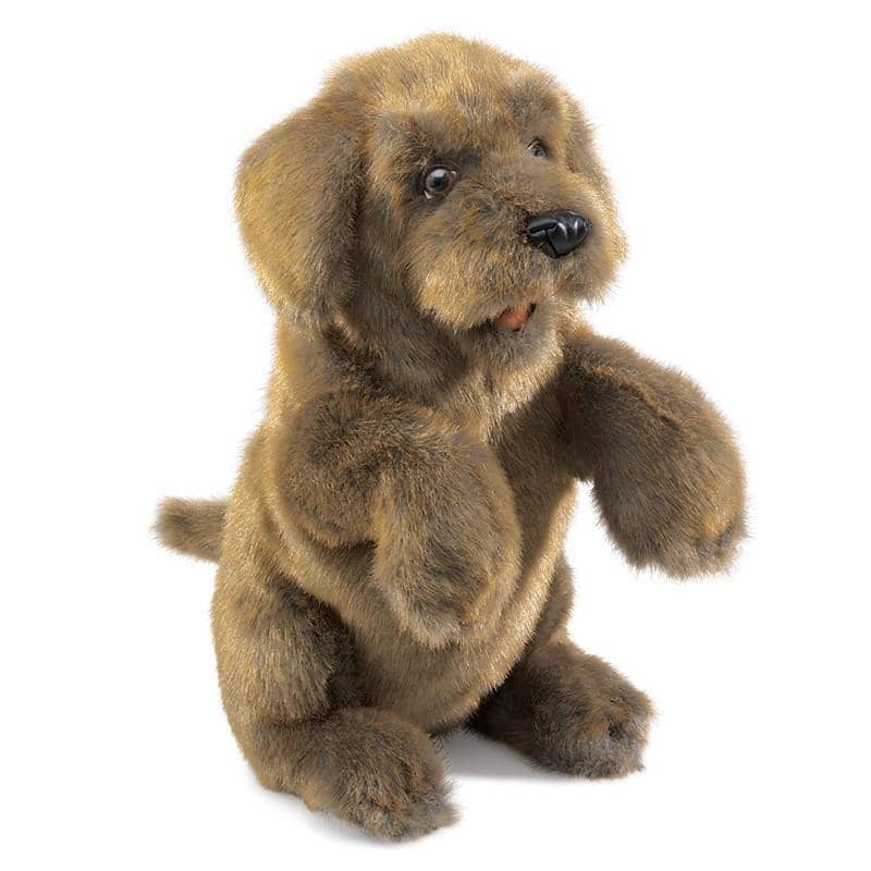 Sitting Dog-Kidding Around NYC