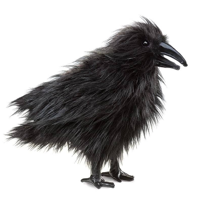 Raven-Kidding Around NYC