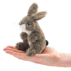 Mini Jack Rabbit-Kidding Around NYC