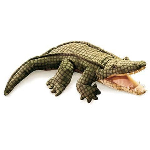 American Alligator-Kidding Around NYC