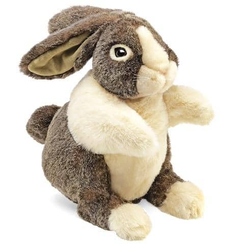Dutch Rabbit-Kidding Around NYC