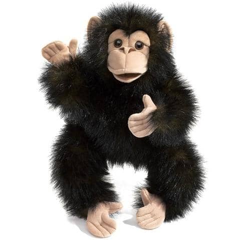 Baby Chimpanzee-Kidding Around NYC