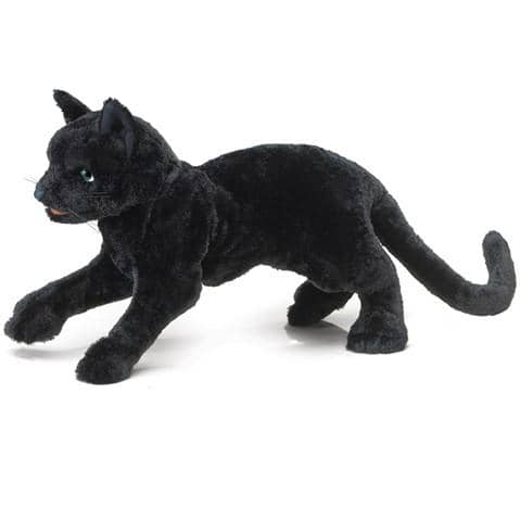 Black Cat-Kidding Around NYC