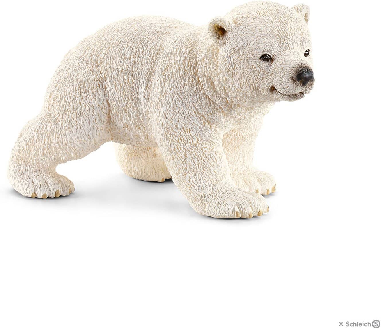 Polar Bear Cub Walking-Kidding Around NYC