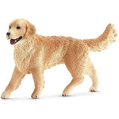 Female Golden Retriever-Kidding Around NYC